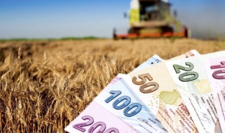 Tarım ve Orman Bakanlığı açıkladı: Çiftçilerin destek ödemesi hesaplara yatıyor